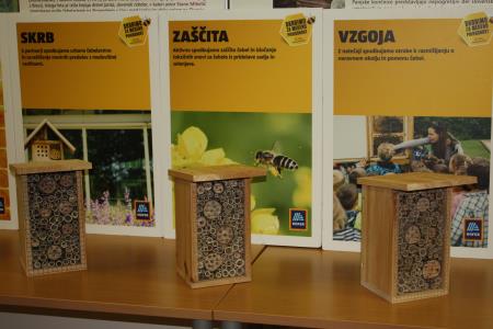 gnezdilnice_cebele samotarke